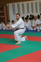 IMG 7569