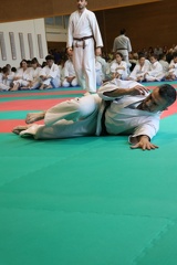 IMG 7577