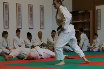 IMG 7579