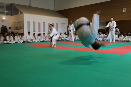 IMG 7588