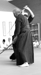 Shinto Muso Ryu - 1