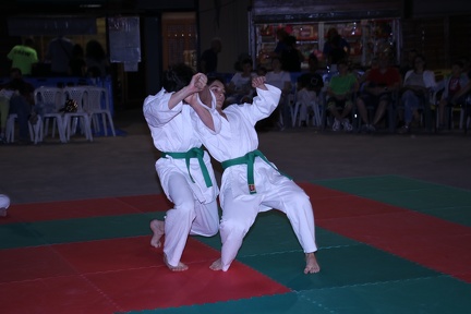 IMG 3451