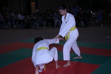 IMG 3420