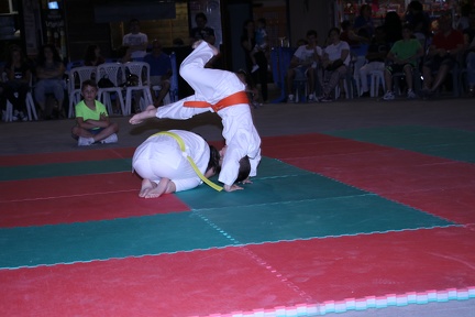 IMG 3363