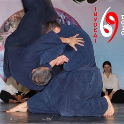 Ju Jutsu Ricci Ryu