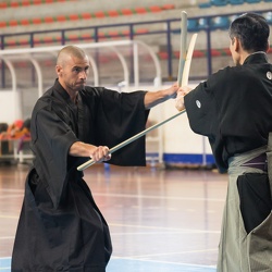 Hyoho Niten Ichi Ryu Kenjutsu